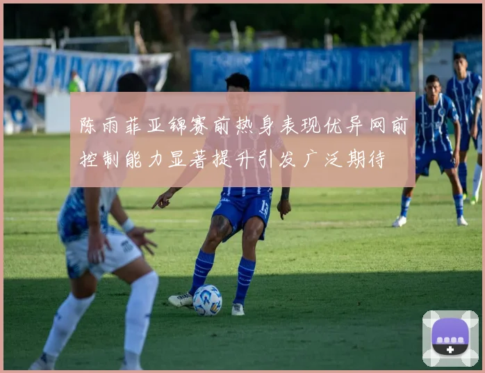 陈雨菲亚锦赛前热身表现优异网前控制能力显著提升引发广泛期待